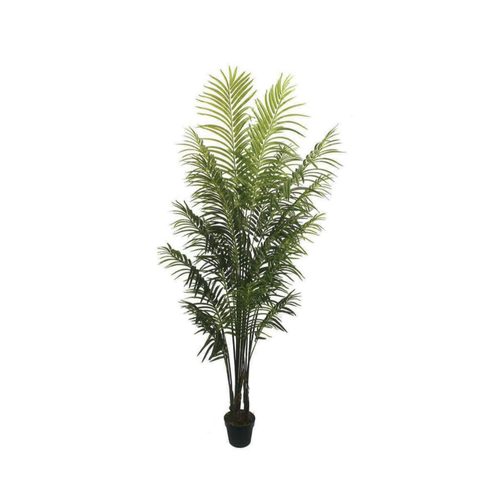 Artificial Areca Palm 200cm | JWS3440