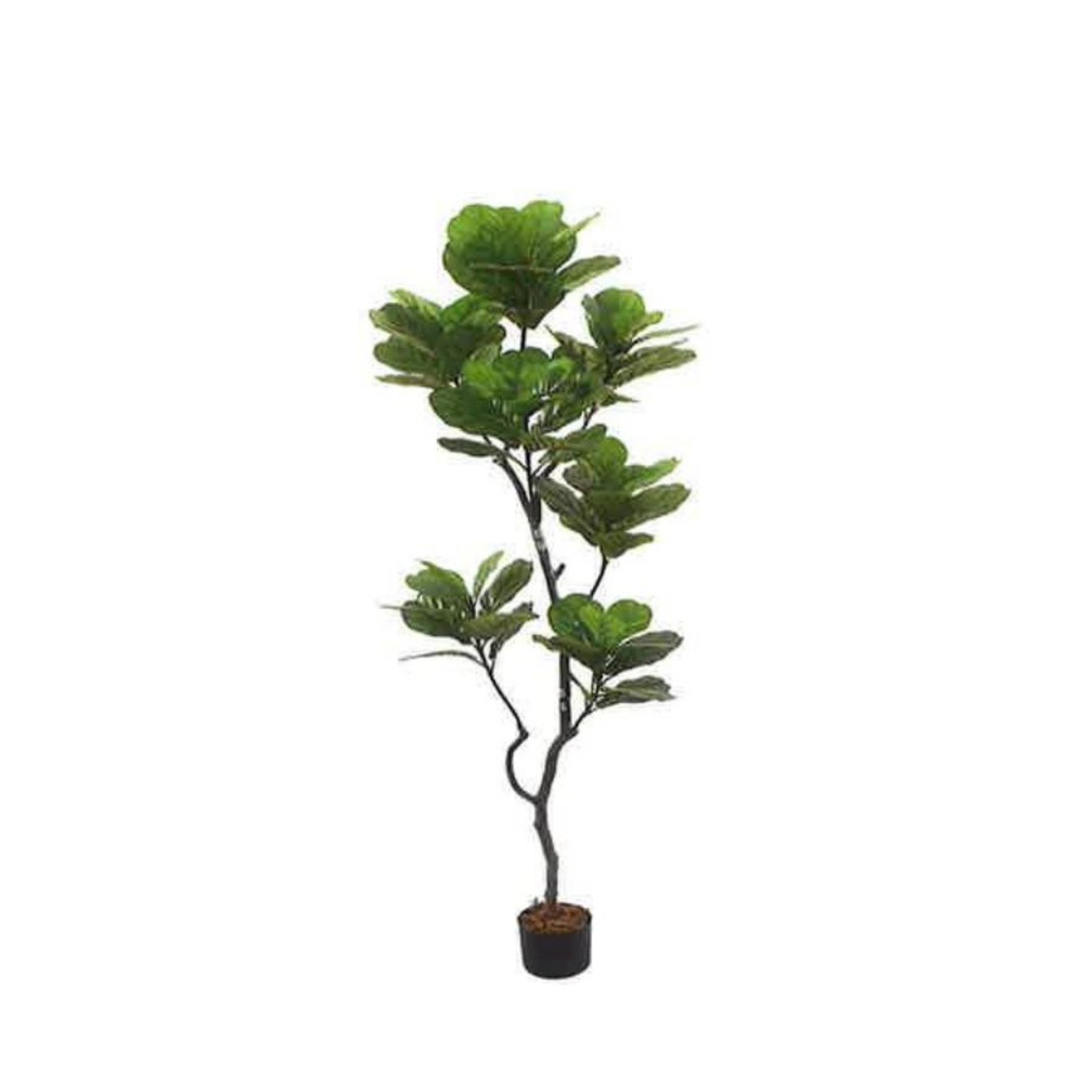 Artificial Fiddle Leaf Fig 195cm | JWS3802
