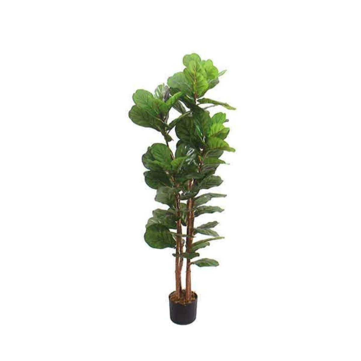 Artificial Fiddle Leaf Fig 180cm | JWS3936