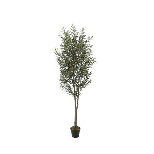 Artificial Olive Tree 210cm | JWT3485