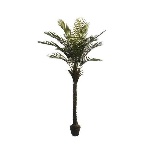 Artificial Areca Palm 210cm | JWT3564