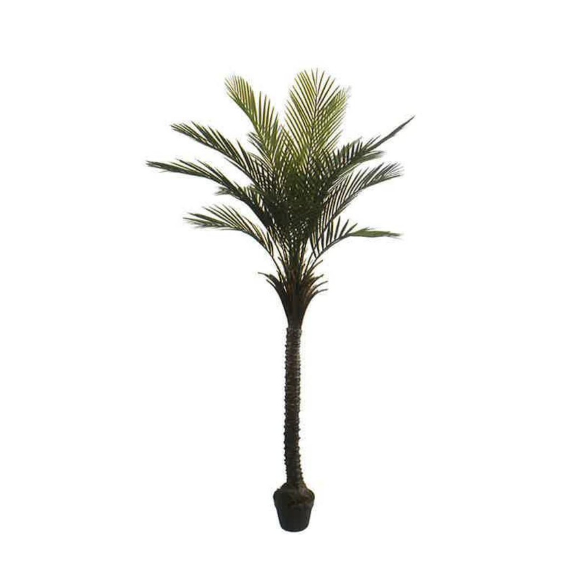 Artificial Areca Palm 210cm | JWT3564