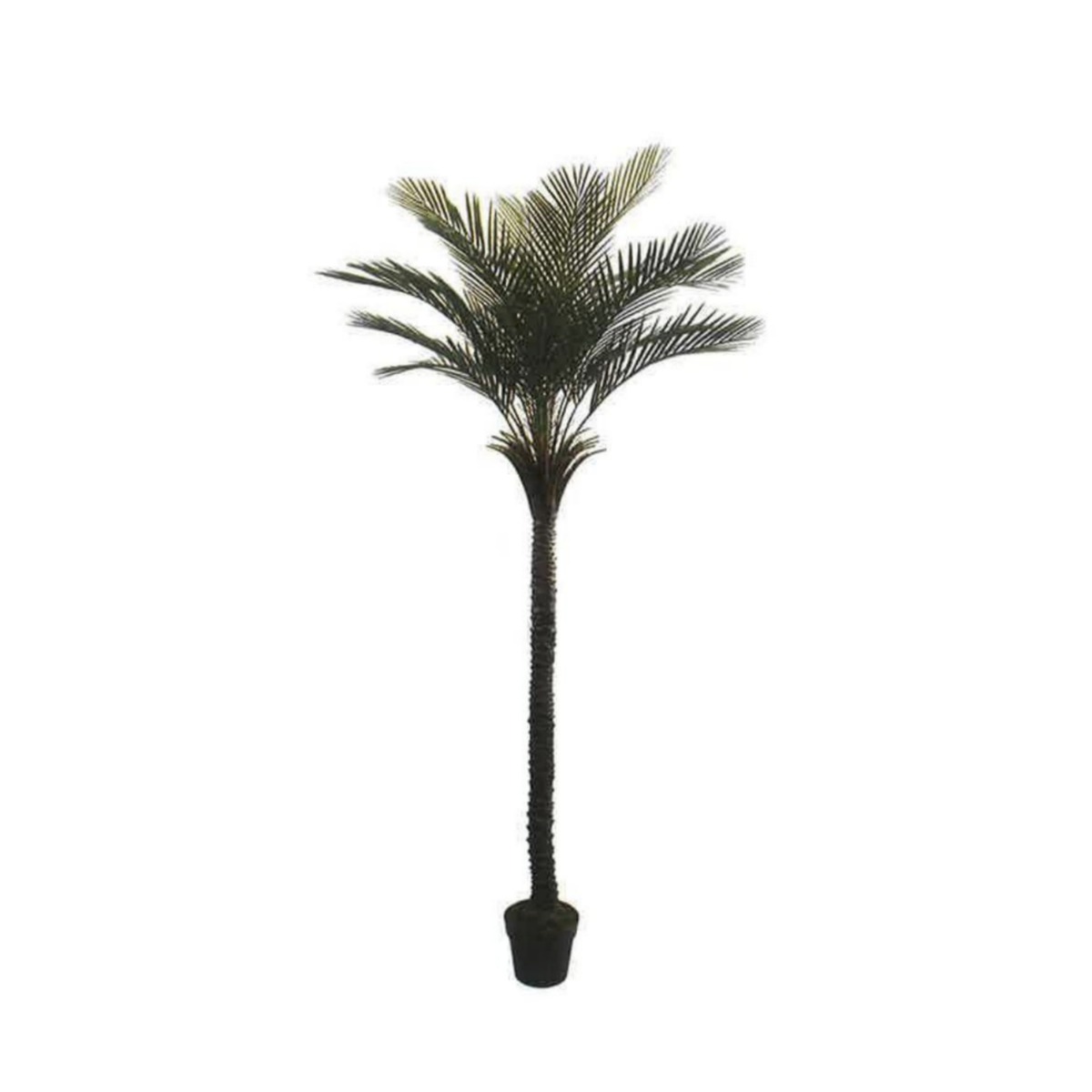 Artificial Areca Palm 210cm | JWT3565