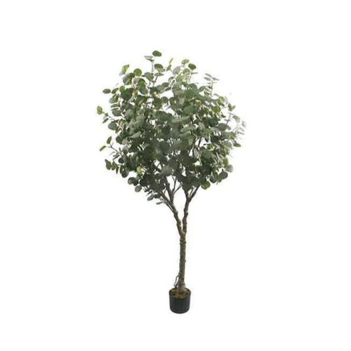 Artificial Eucalyptus 185cm | JWT3653