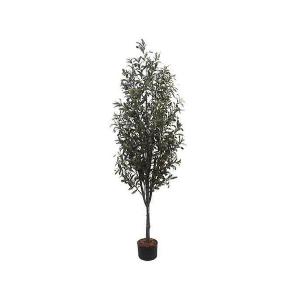 Artificial Olive Tree 190cm | JWT3799