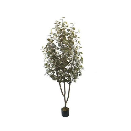Artificial Eucalyptus 200cm | JWT4090