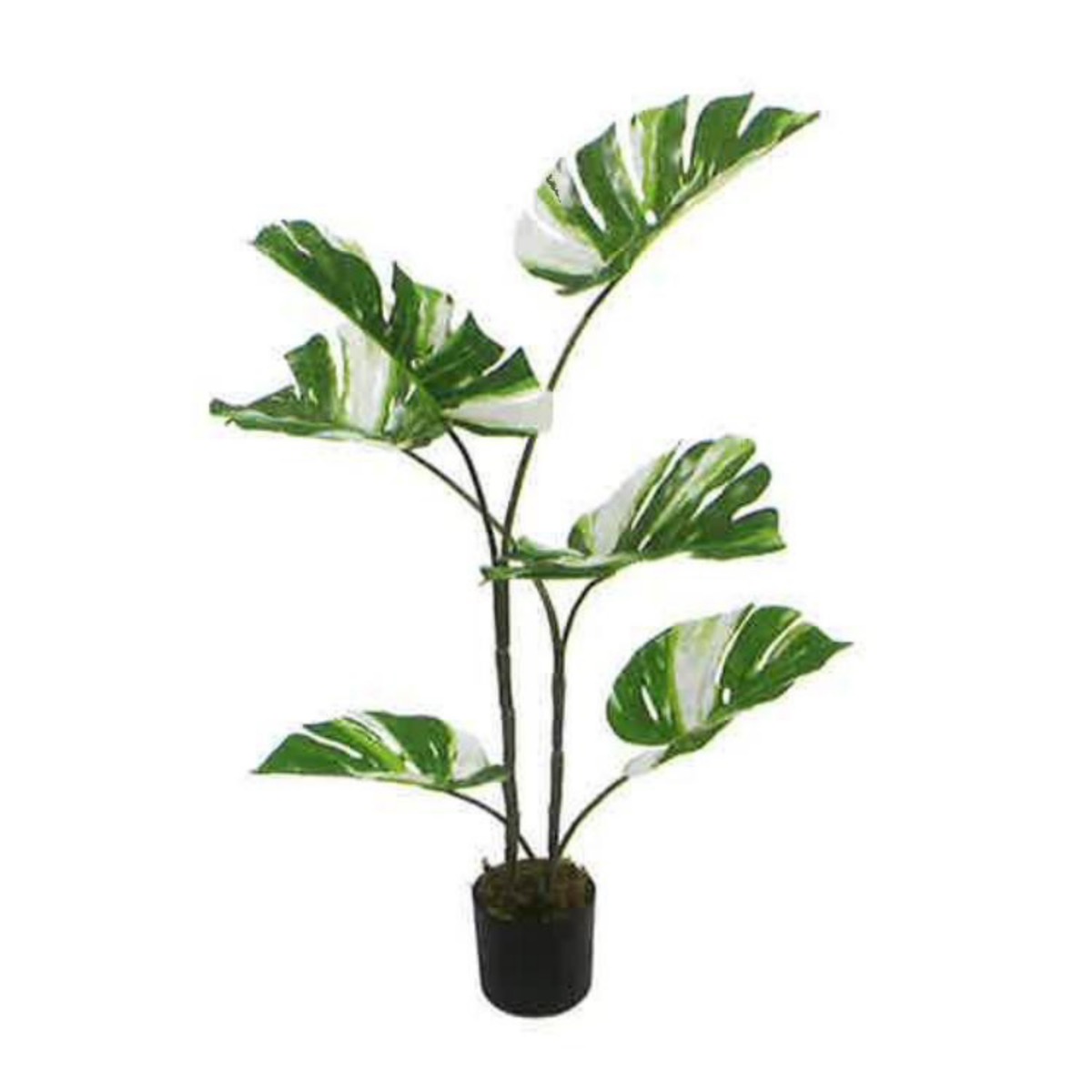 Artificial Variegated Monstera 90cm | JWS3499-1