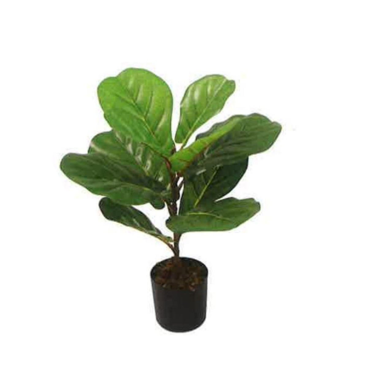 Artificial Fiddle Leaf Fig 45cm | JWS3573