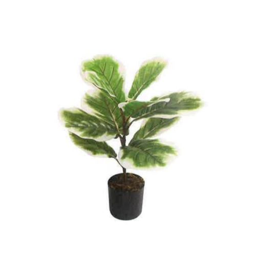 Artificial Variegated Fiddle Leaf Fig 45cm | JWS3573-1