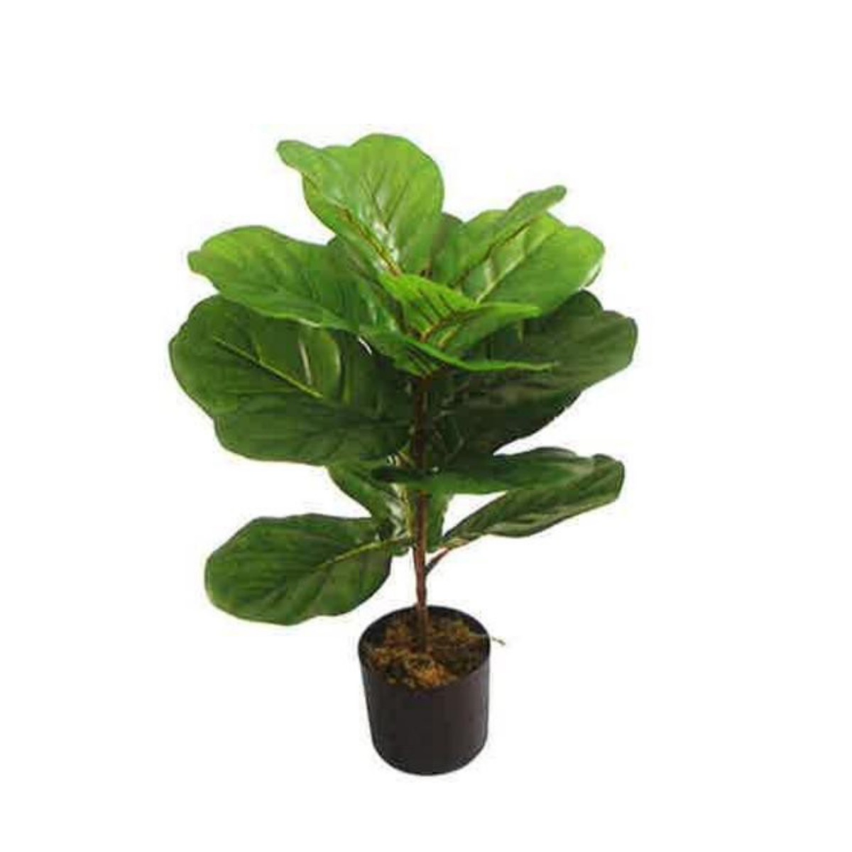 Artificial Fiddle Leaf Fig 60cm | JWS3574