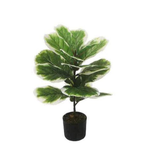 Artificial Variegated Fiddle Leaf Fig 60cm | JWS3574-1