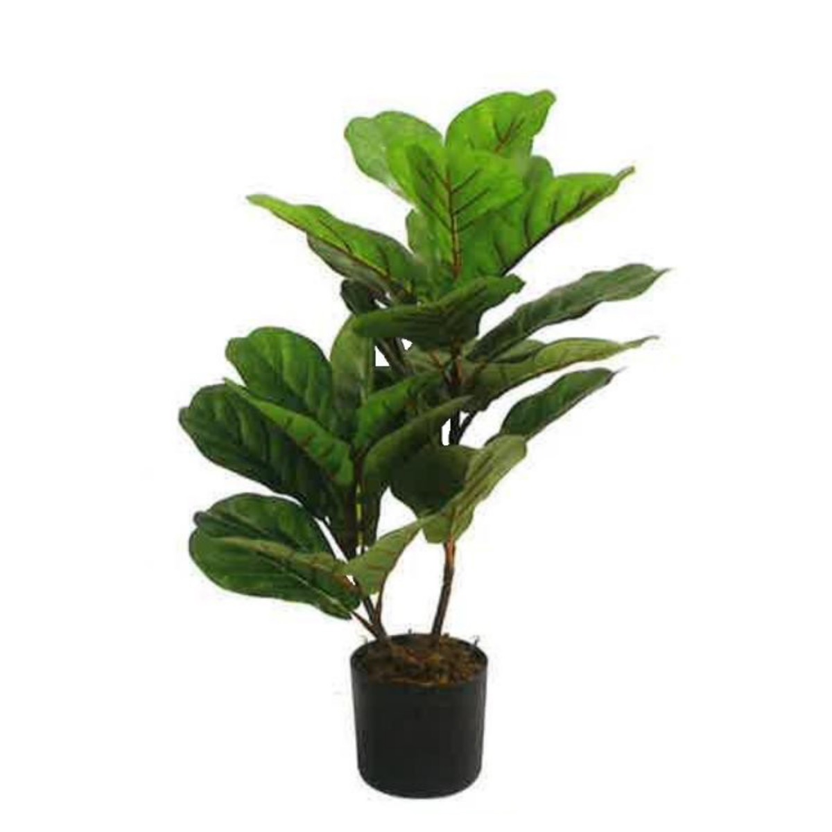 Artificial Fiddle Leaf Fig 65cm | JWS3575