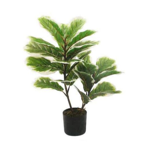 Artificial Variegated Fiddle Leaf Fig 65cm | JWS3575-1