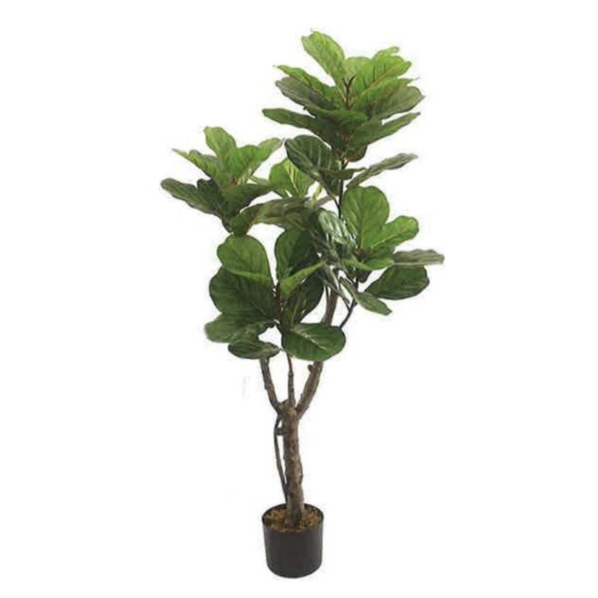 Artificial Fiddle Leaf Fig 145cm | JWS3579