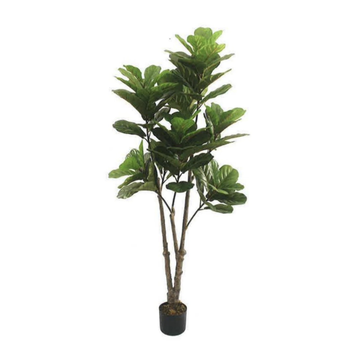 Artificial Fiddle Leaf Fig 175cm | JWS3581