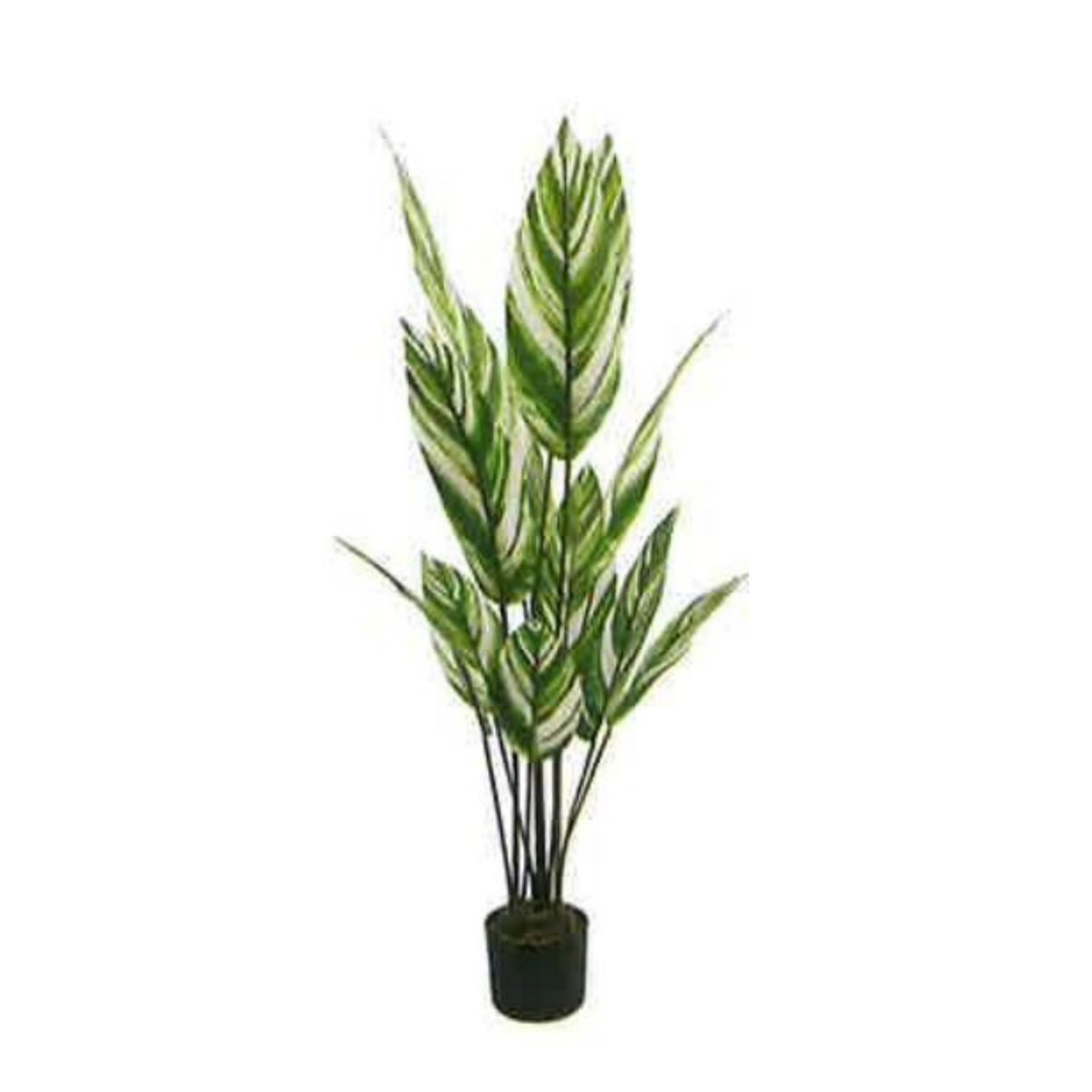 Artificial White Bird of Paradise 145cm | JWS3724