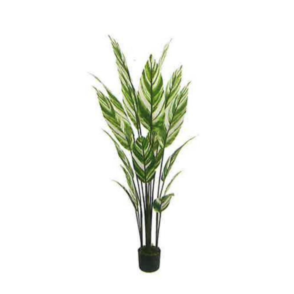 Artificial White Bird of Paradise 170cm | JWS3725