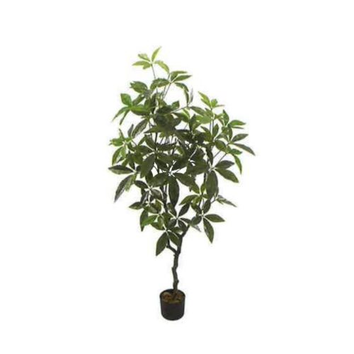 Artificial Money Tree 150cm | JWS3760