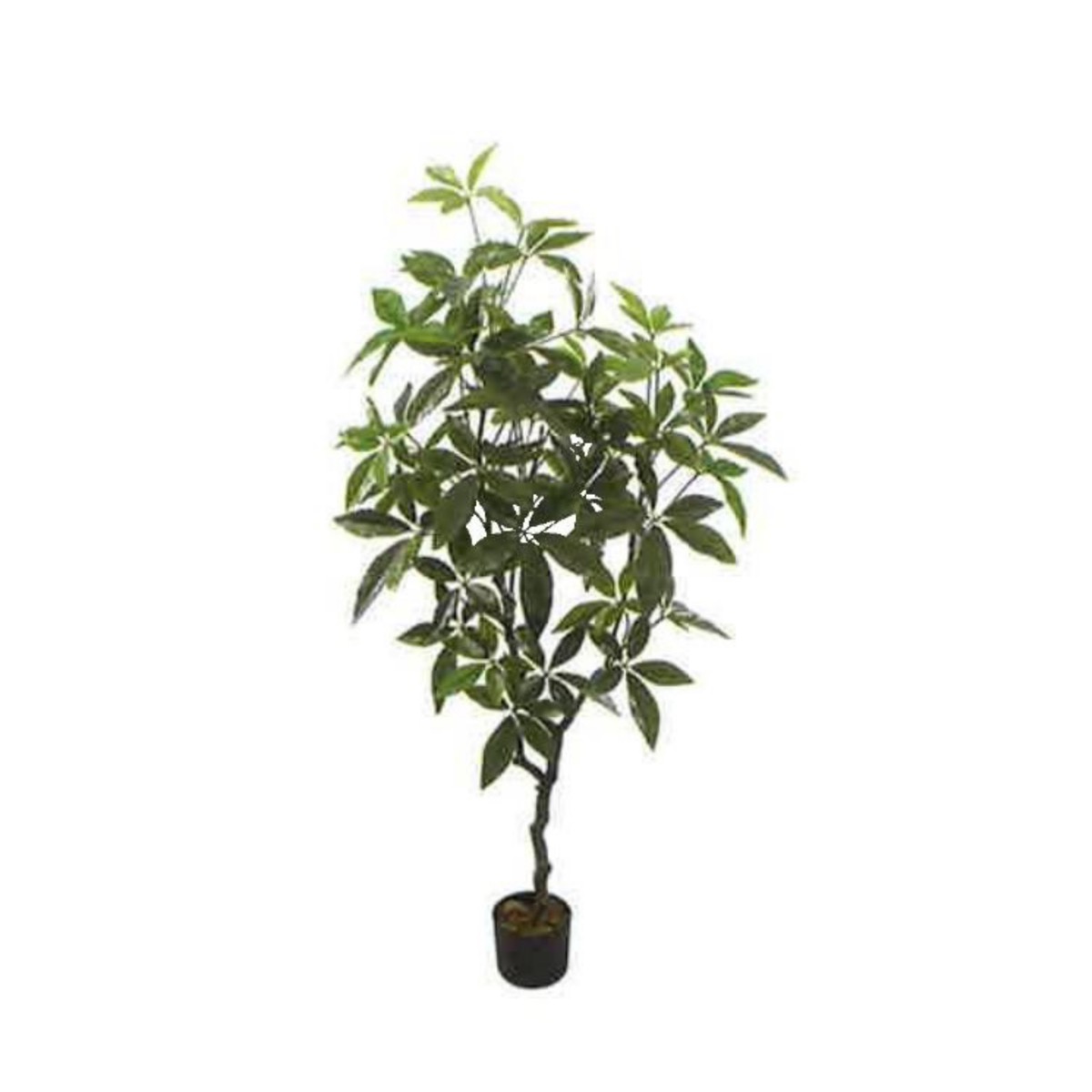 Artificial Money Tree 150cm | JWS3760