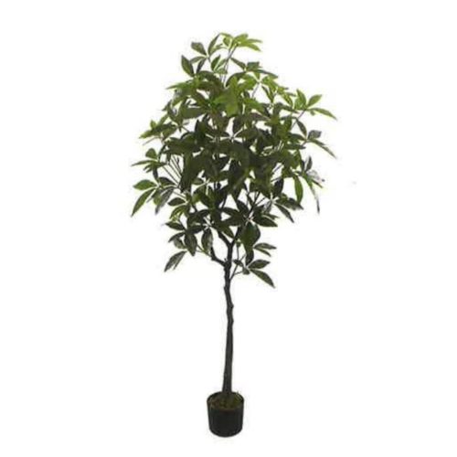 Artificial Money Tree 170cm | JWS3761