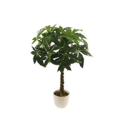 Artificial Money Tree 55cm | JWS3763