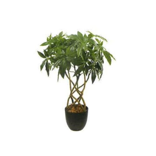 Artificial Money Tree 55cm | JWS3764