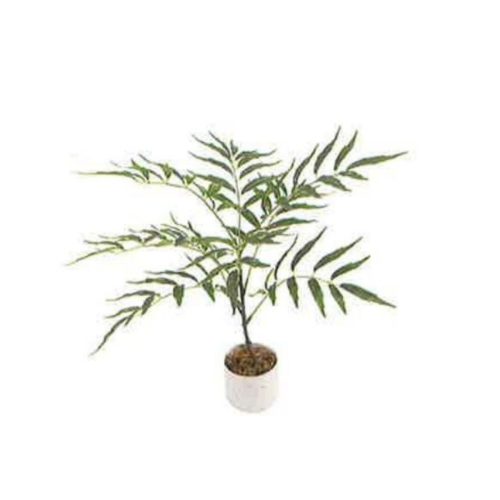 Artificial Mahonia 50cm | JWS4005