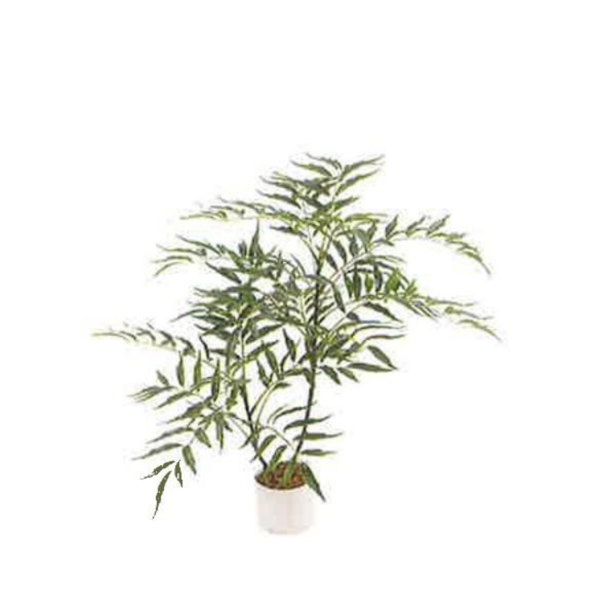 Artificial Mahonia 65cm | JWS4007-1