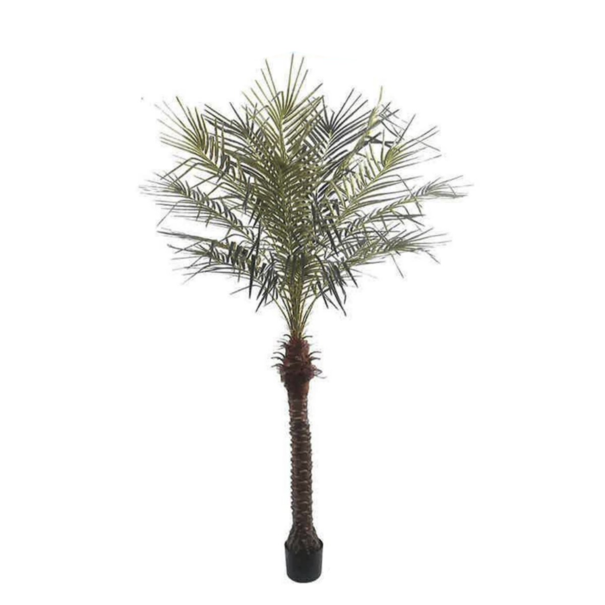 Artificial Phoenix Palm 210cm | JWT3892