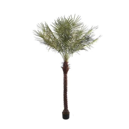 Artificial Phoenix Palm 240cm | JWT3894