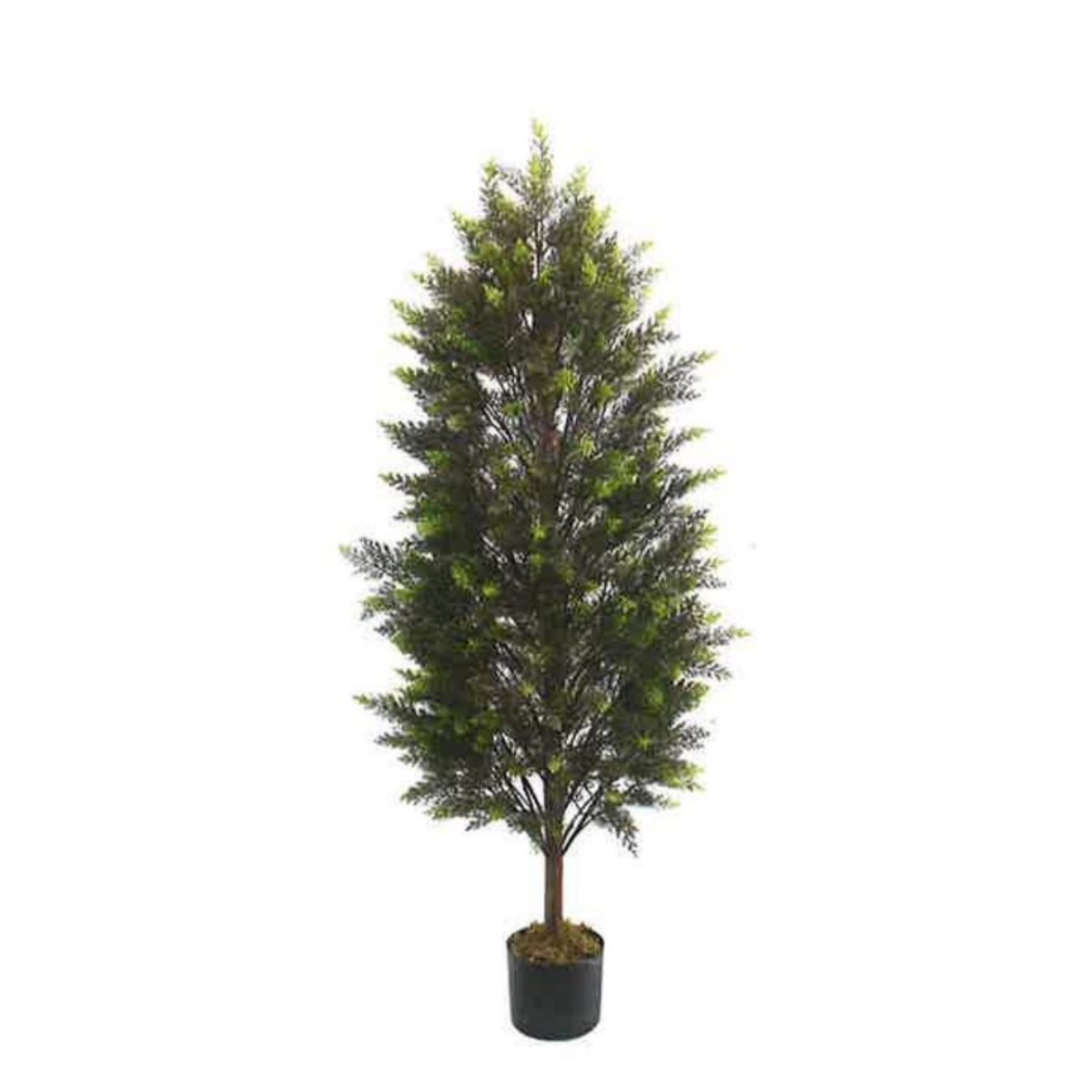 Artificial Cypress 150cm | JWT4153
